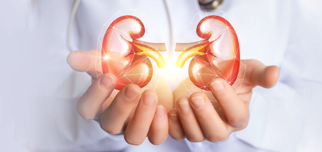 Kidney transplantation Procedure in Bangalore