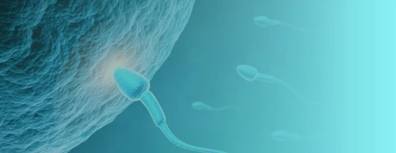 infertility treatment in bangalore