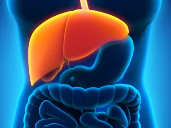 Healthy Liver