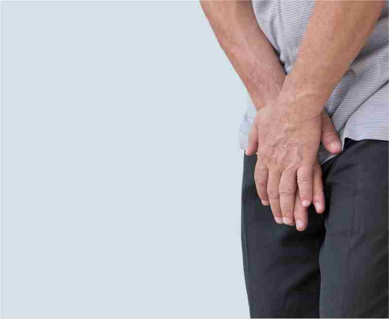 Prostate
