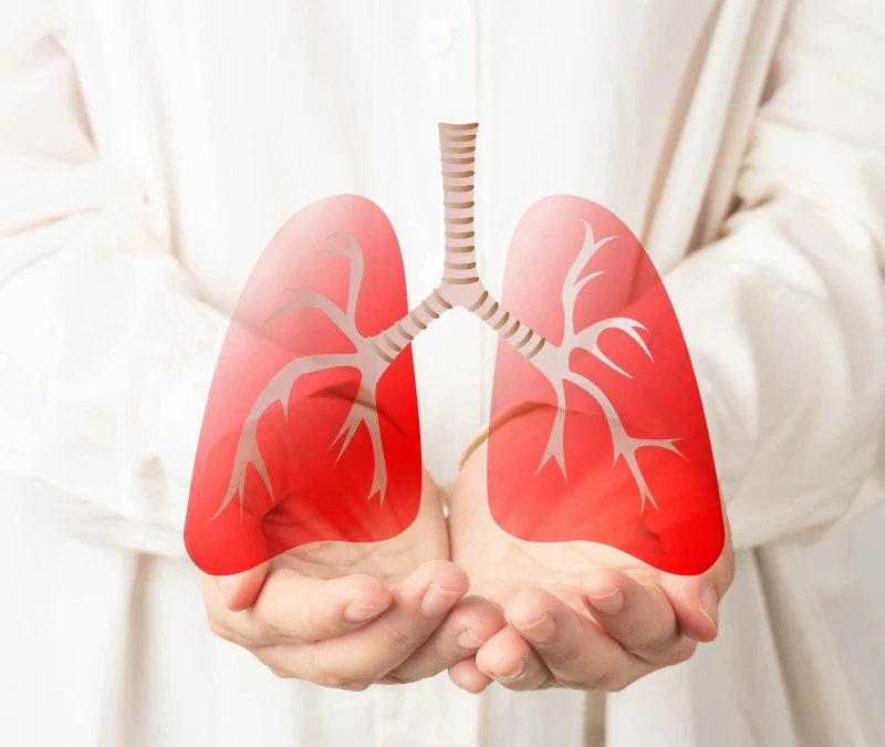 Lung transplantation mobile