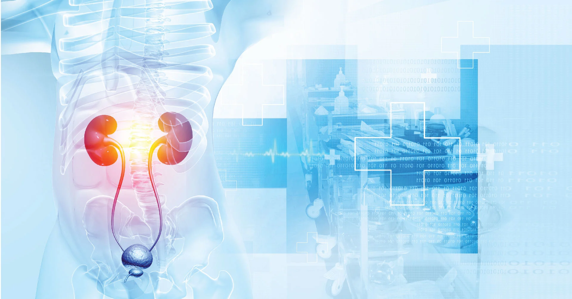 urology