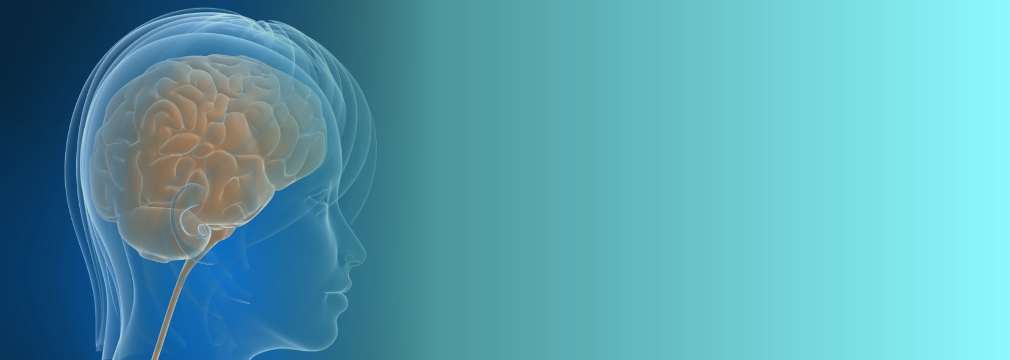 best-neurology-hospitals-in-ongole-andhra-prades
