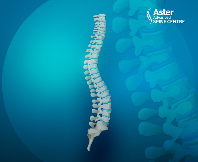 spine center mobile