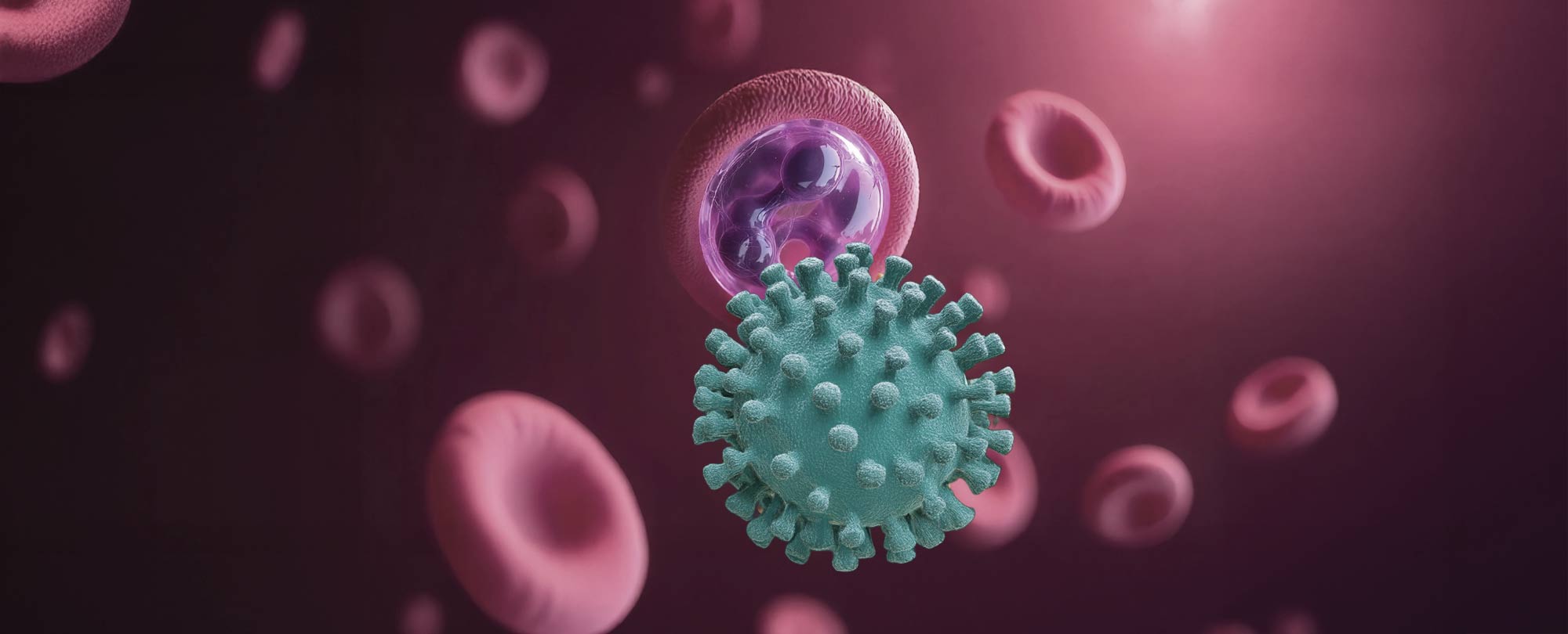 CAR T cell