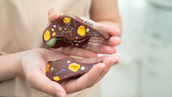 Top 10 Liver Health Tips, 2026 - What Experts Want You to Know.