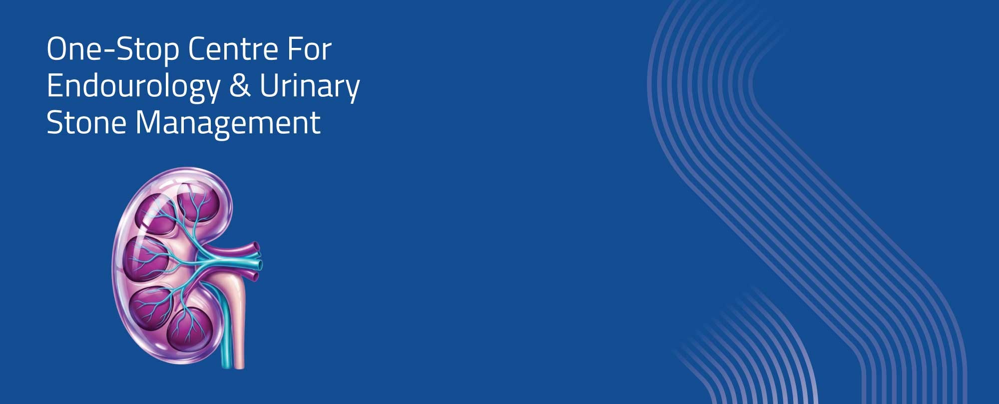 Kidney Stone Desktop