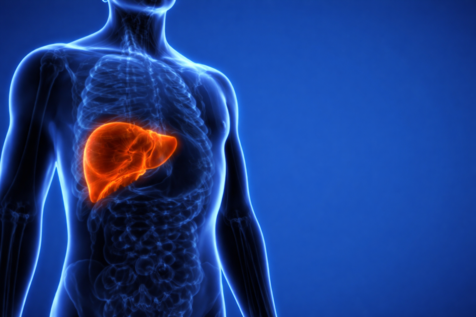 കരളിനെ ബാധിക്കുന്ന മെറ്റബോളിക് ലിവർ ഡിസീസ്: നിങ്ങളുടെ കരളിന്റെ ആരോഗ്യത്തിന് അറിഞ്ഞിരിക്കേണ്ട കാര്യങ്ങൾ