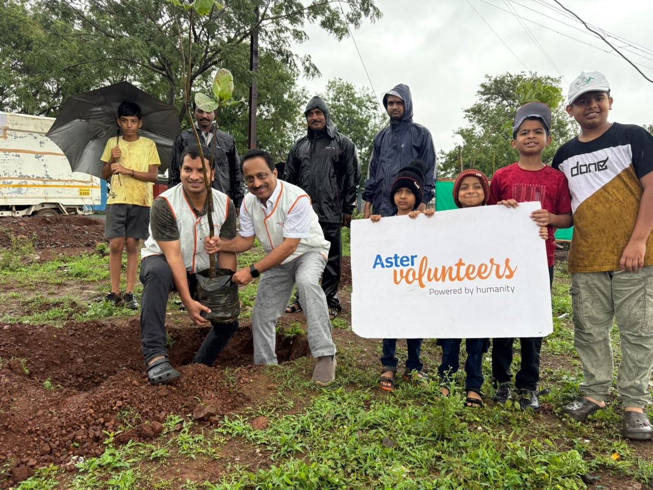 tree plantation
