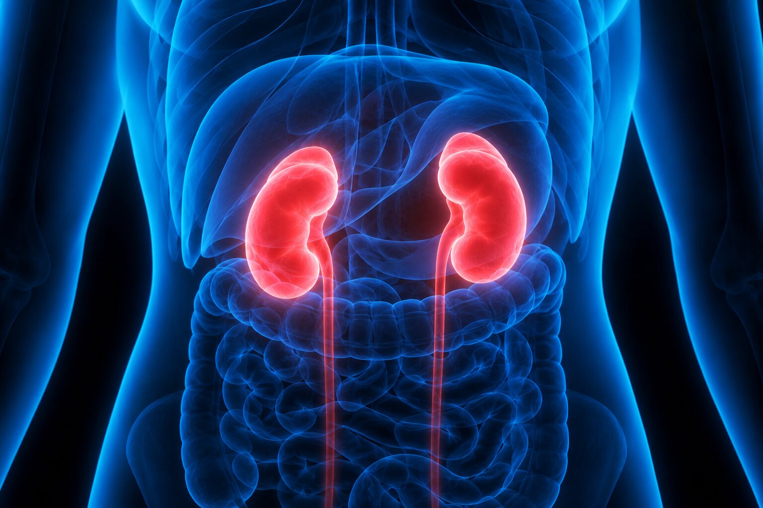 Minimally Invasive Kidney Cancer Treatment