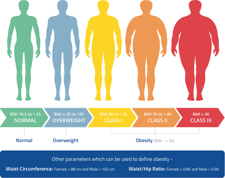 bmi-infographic.png 