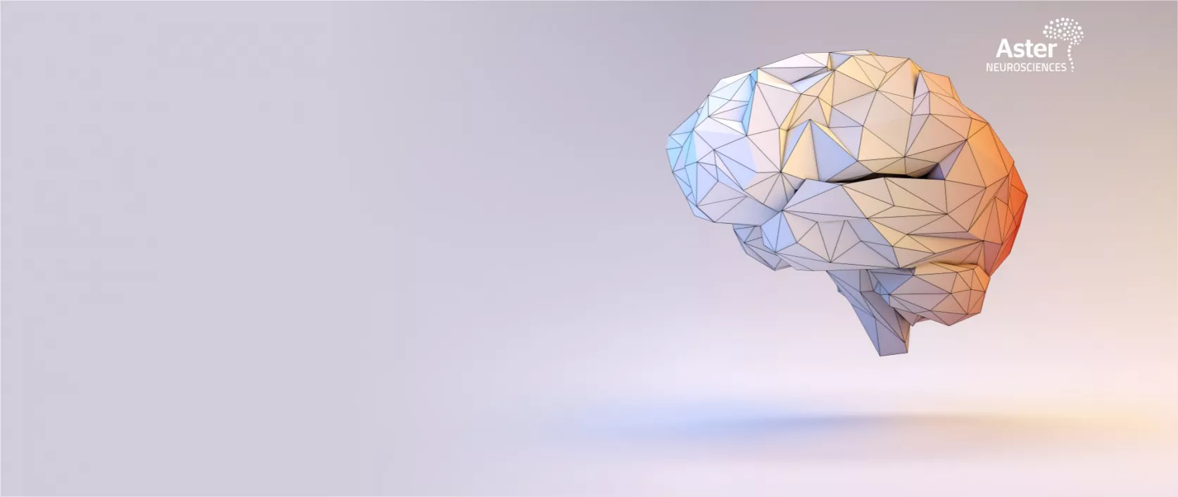 Neuroscience Application