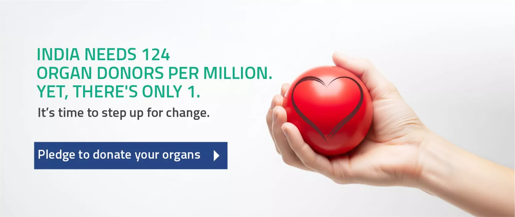 Organ Donation