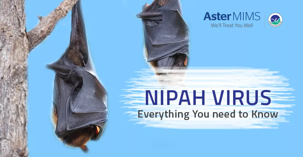 nipah-virus