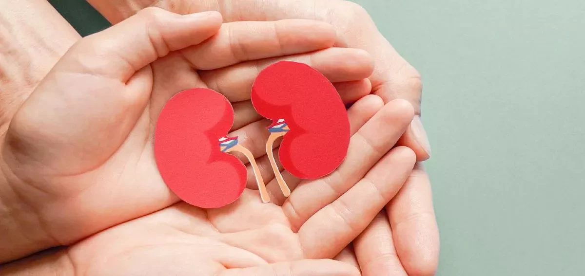 best kidney transplant in bangalore