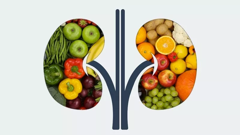 Diet in Chronic Kidney disease