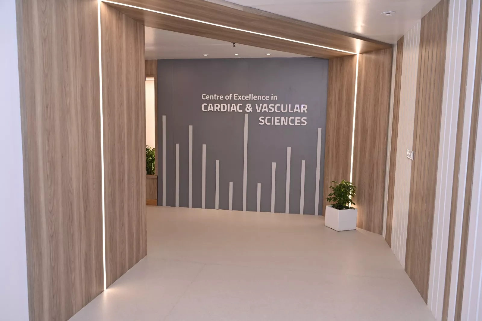 Cardio