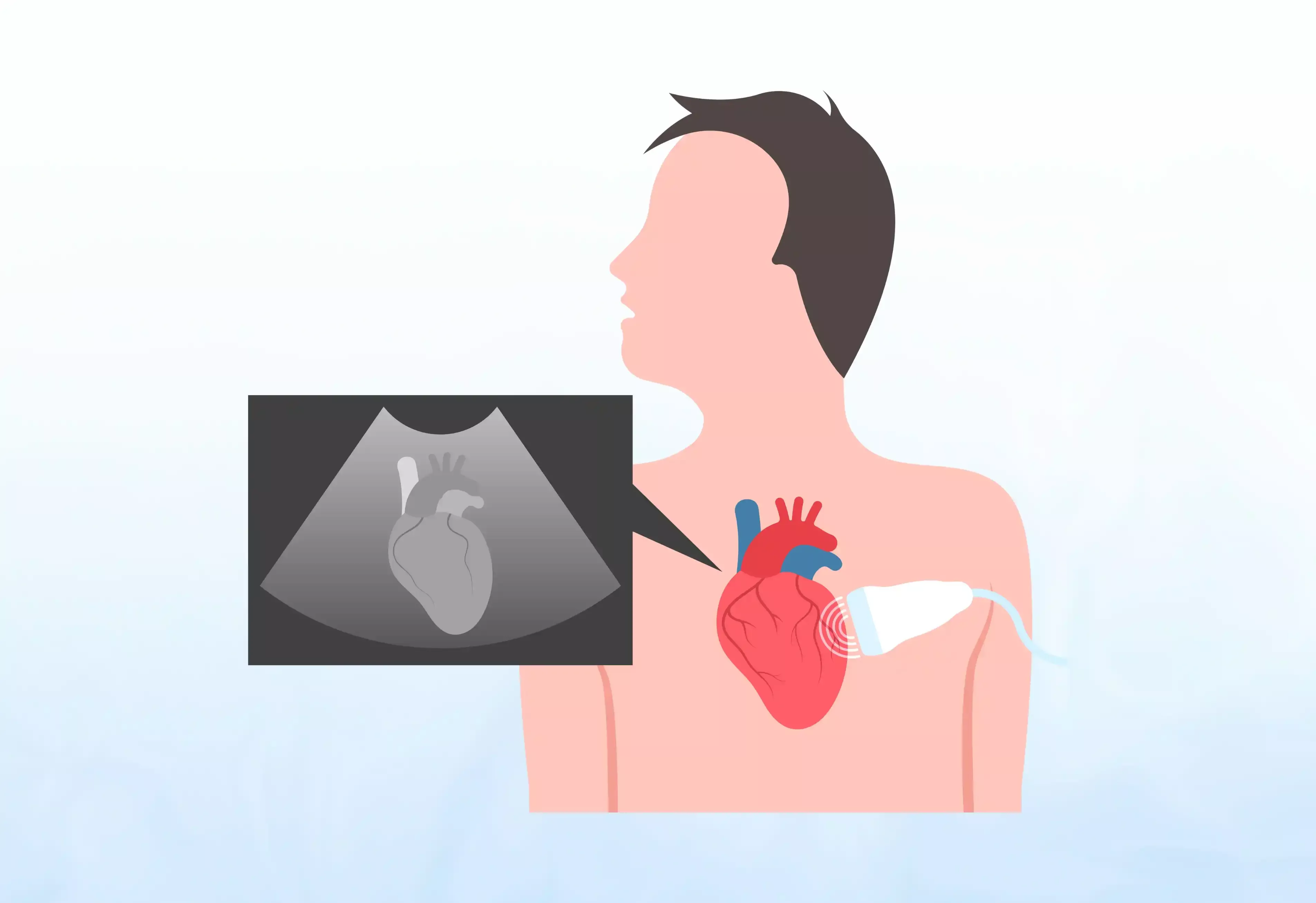 Congenital and Acquired Heart Defects