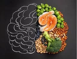 How Your Gut Talks to Your Brain — And Why Your Diet Matters
