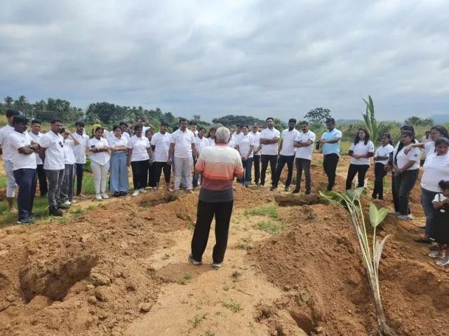 Tree Plantation