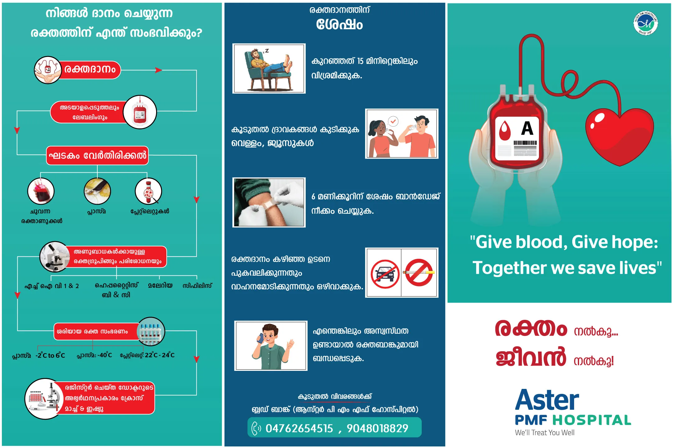 Blood Donation Awareness Brochure