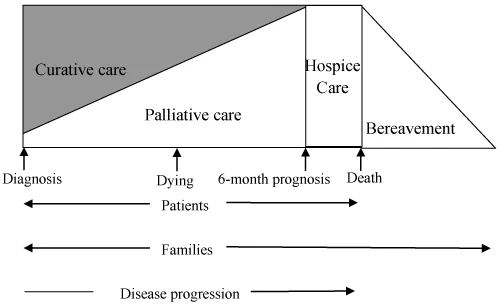 Difference Between Palliative and Hospice Care