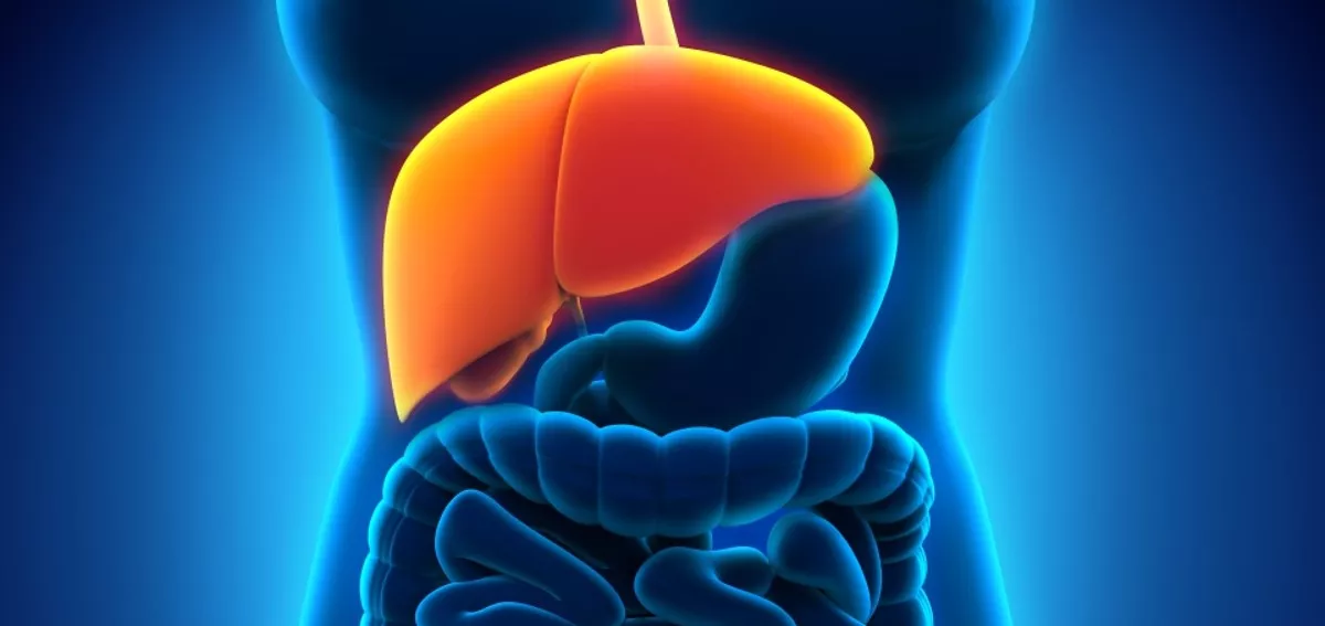 how to maintain healthy liver