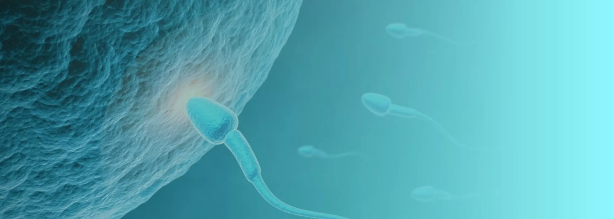 ivf centres in guntur, andhra pradesh