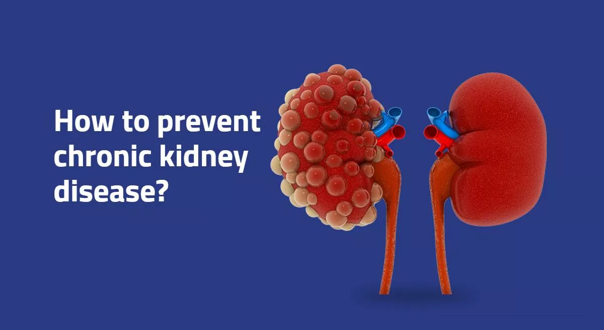 prevent chronic kidney disease