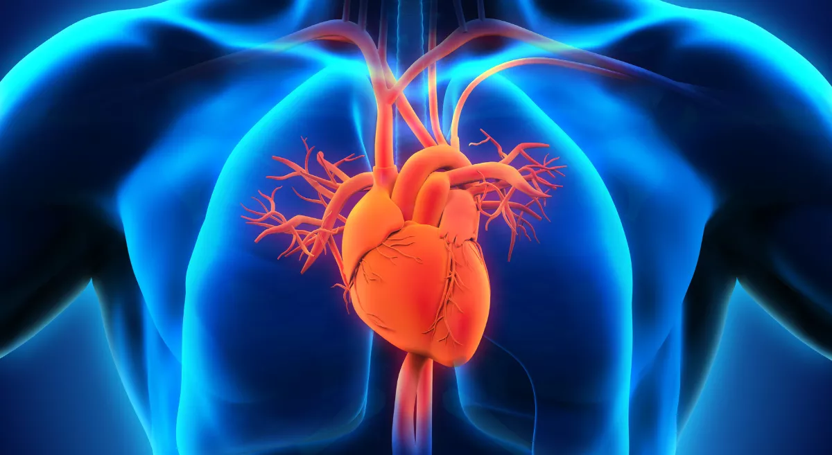Understanding the Human Heart_ A Close Look at Its Complexity_Blog-Image