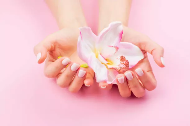 Labiaplasty and vaginal rejuvenation: An overview of cosmetic gynecology