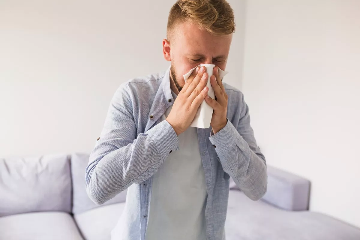 sinus