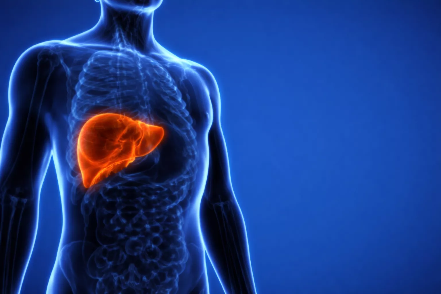 കരളിനെ ബാധിക്കുന്ന മെറ്റബോളിക് ലിവർ ഡിസീസ്: നിങ്ങളുടെ കരളിന്റെ ആരോഗ്യത്തിന് അറിഞ്ഞിരിക്കേണ്ട കാര്യങ്ങൾ