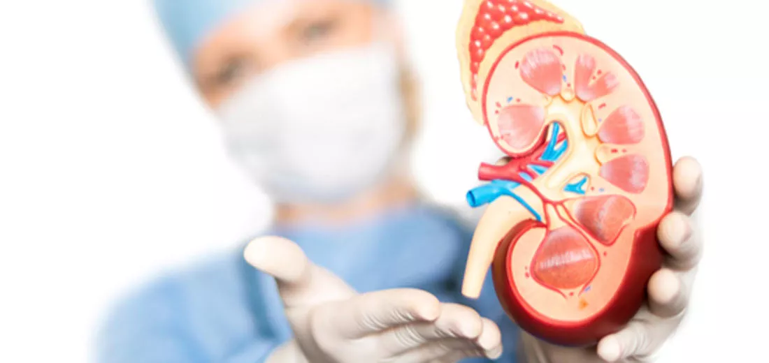 best-kidney-transplant-specialists-in-bangalore-a